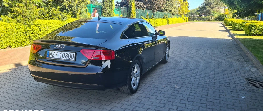 Audi A5 cena 75000 przebieg: 230000, rok produkcji 2014 z Żyrardów małe 56